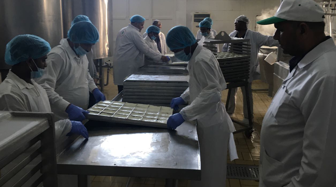 Предприятие по производству сыра Хеллим в Дубае